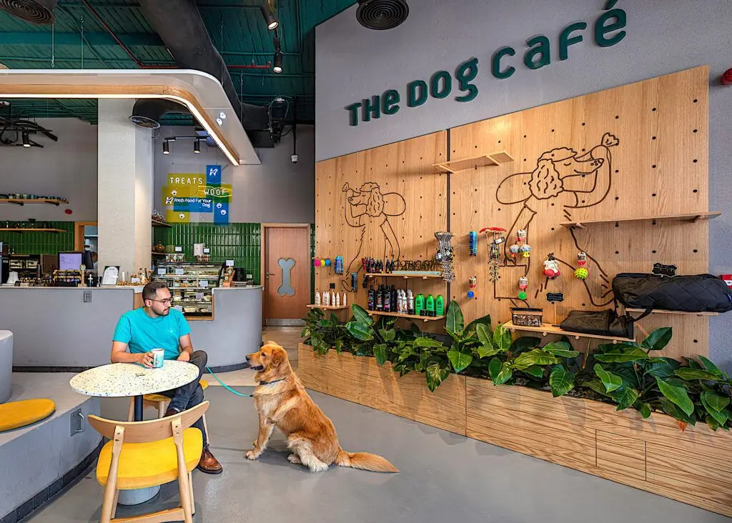 Top Pet-Friendly cafes in Egypt