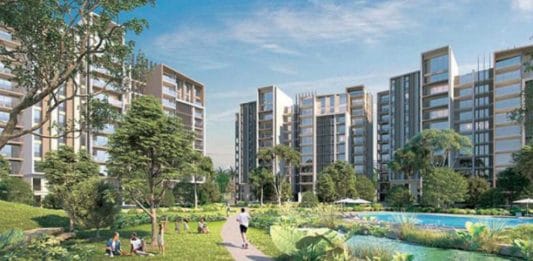 top compounds in Sheikh Zayed