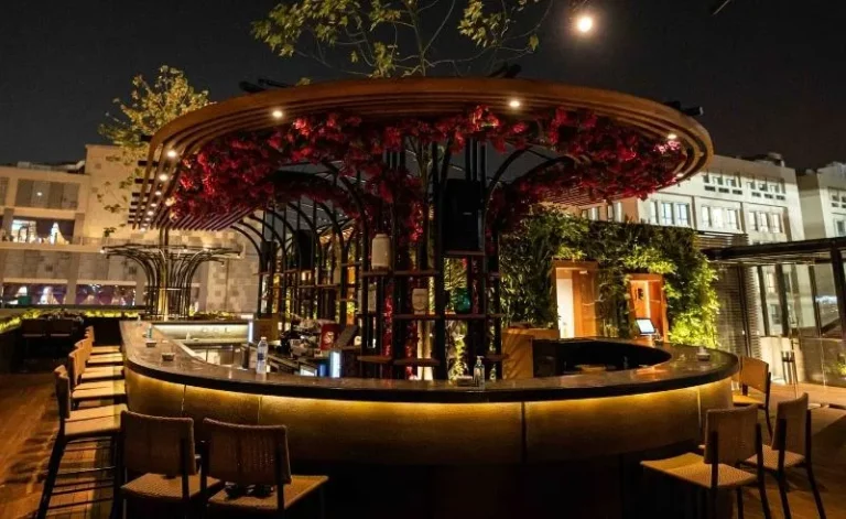 Best 20+ 6 October Restaurants with Delightful Vibes Best 20+ 6 October Restaurants with Delightful Vibes