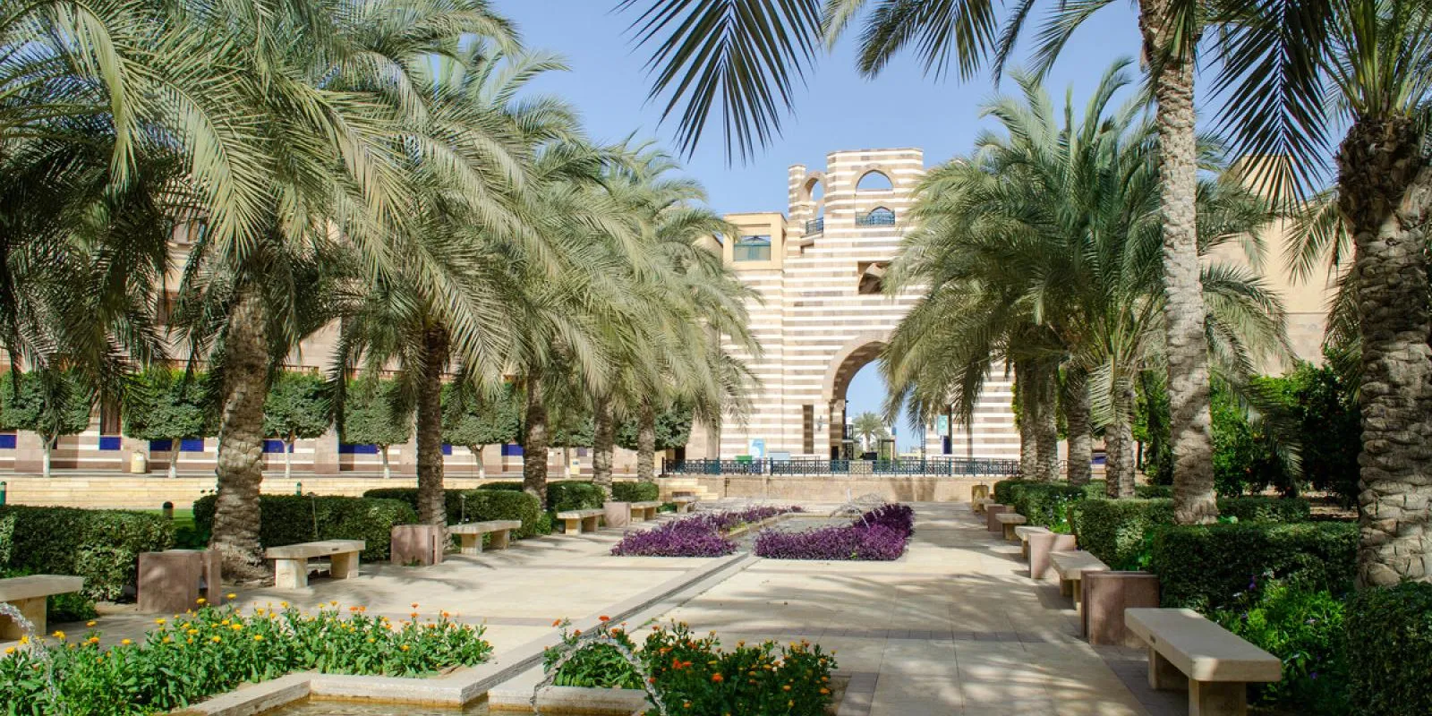 Top Universties - AUC