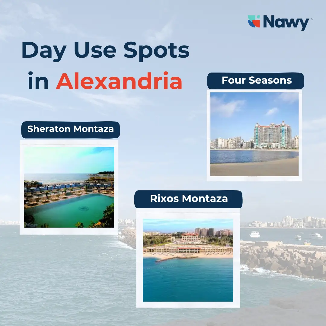 Day Use in Alexandria