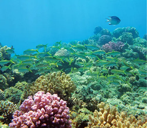 Things to Do in Makadi Bay