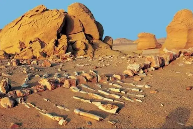 محمية وادي الحيتان