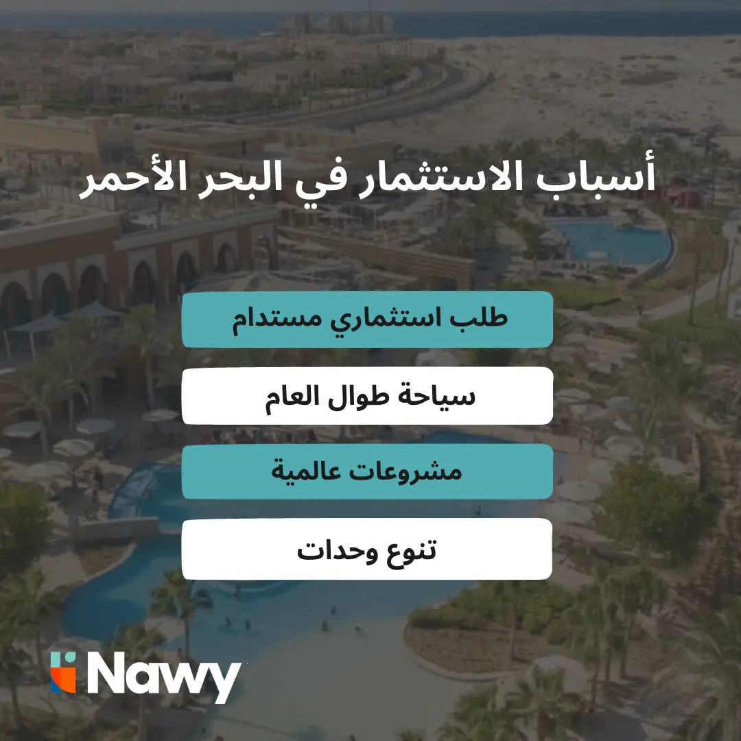 تصميم عن أسباب الاستثمار في البحر الأحمر 