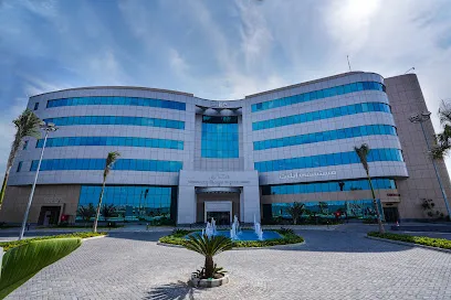 Egypt Hospitals