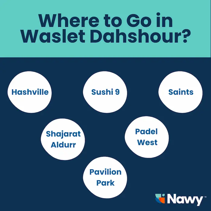 Waslet Dahshour Sheikh Zayed