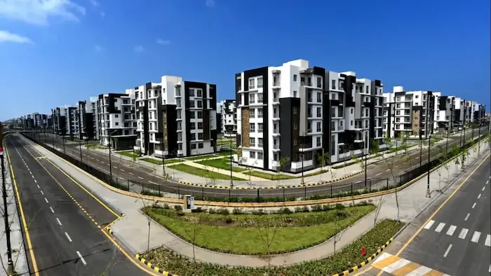 Green Belt 6 October