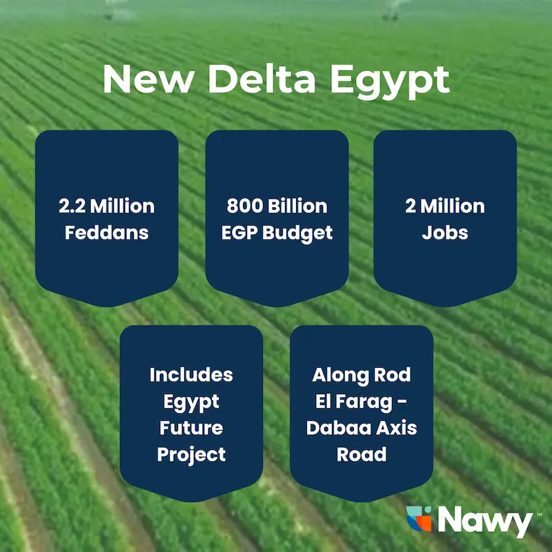 New Delta Egypt Project