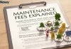What Are Property Maintenance Fees in Egypt Compounds? Maintenance fees
